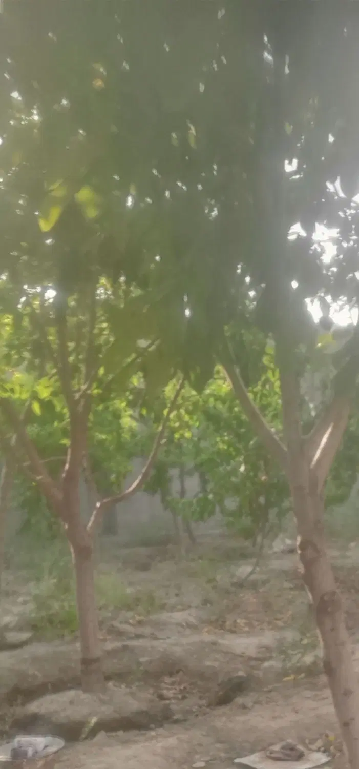سلام ۱۲۰۰باغ روستای عشق آباد