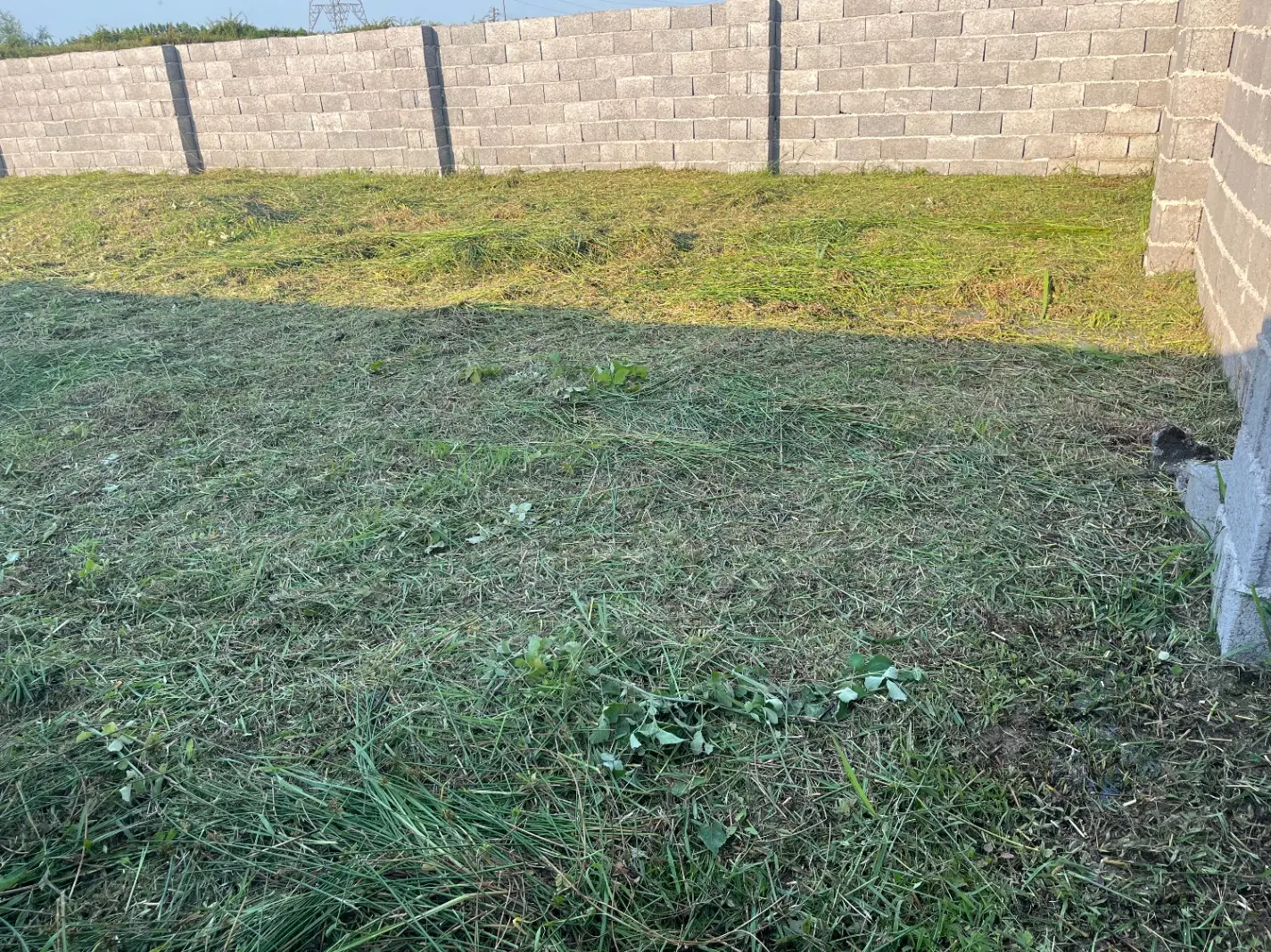 زمین مسکونی سند دار آماده انتقال در دفترخانه