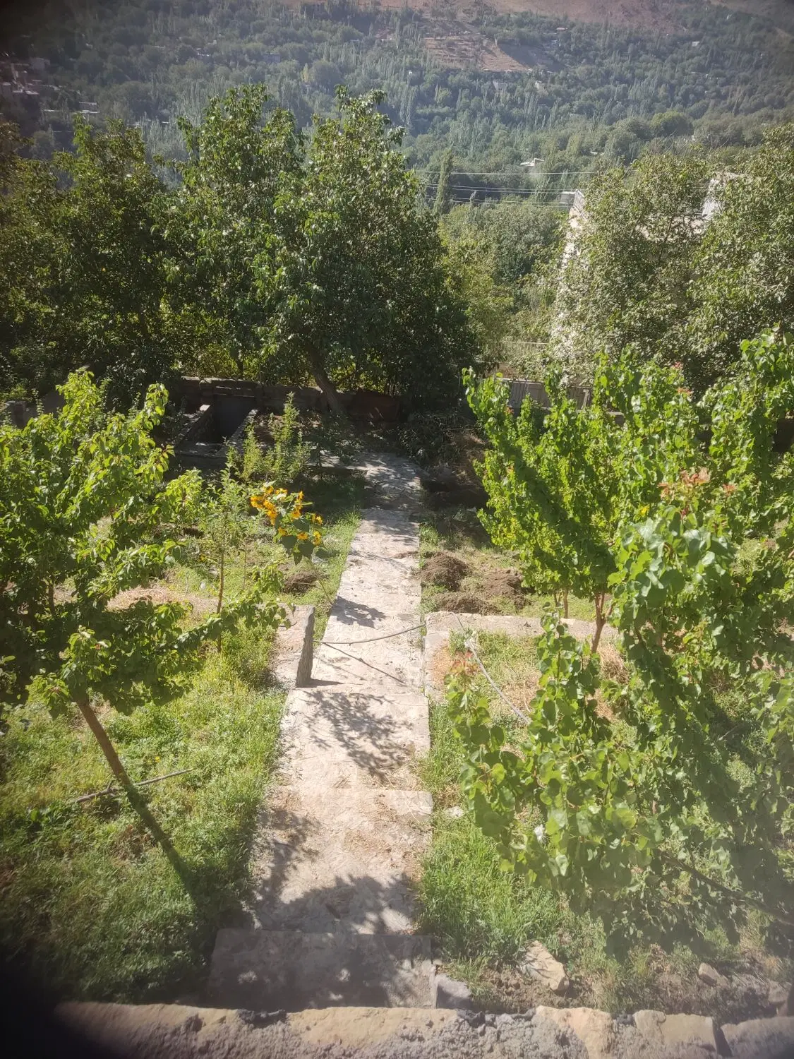 خانه باغ در بهترین نقطه دره مرادبیگ