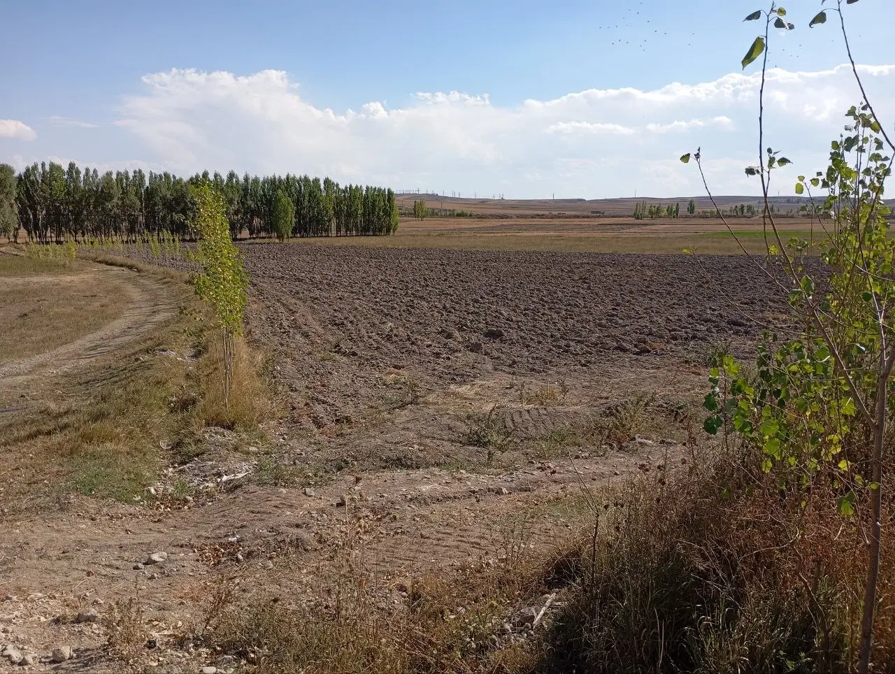 زمین‌ زراعی‌ در‌ روستای‌ نوران‌