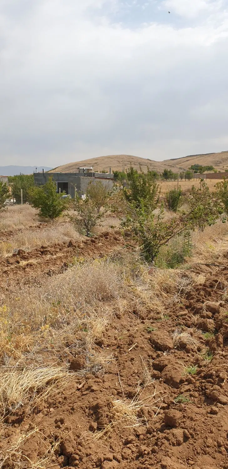 زمین کشاورزی ۴۰۰۰ متر مربع خشکه دول سنندج