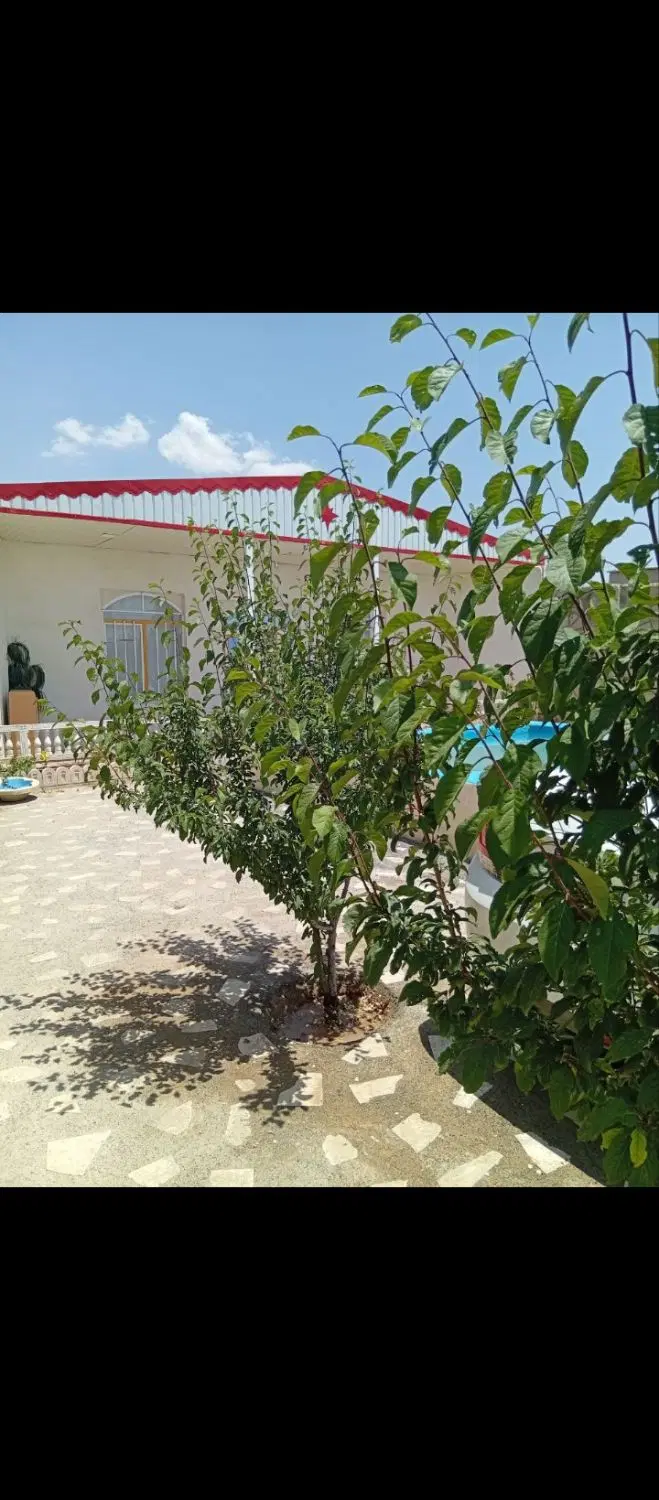 ویلادرصوفیان