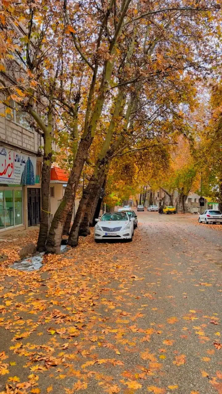 زمین باپروانه تجاری در بهترین لوکیشن شهر درود