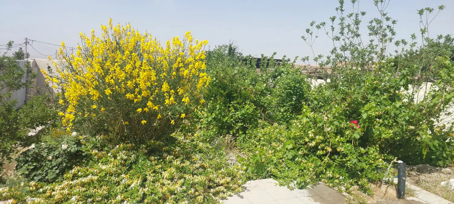 خانه باغ داهوئیه
