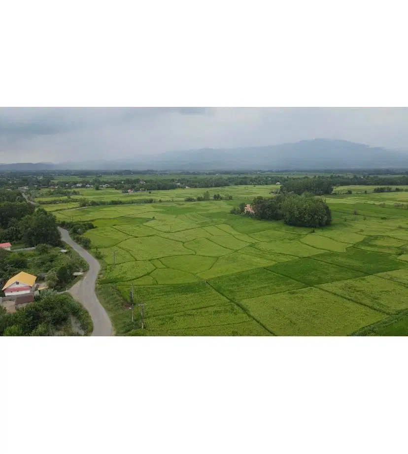 زمین ۵۱۰ متری (۳بر) مسکونی