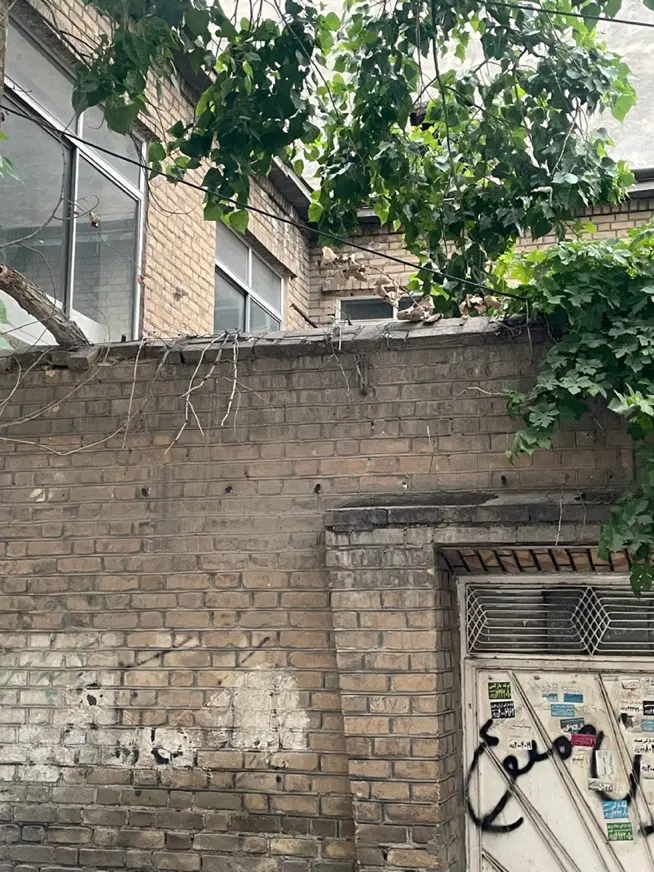 زمین کلنگی_۱۷۰ متر _حاشیه ۱۷ متر_امام رضا
