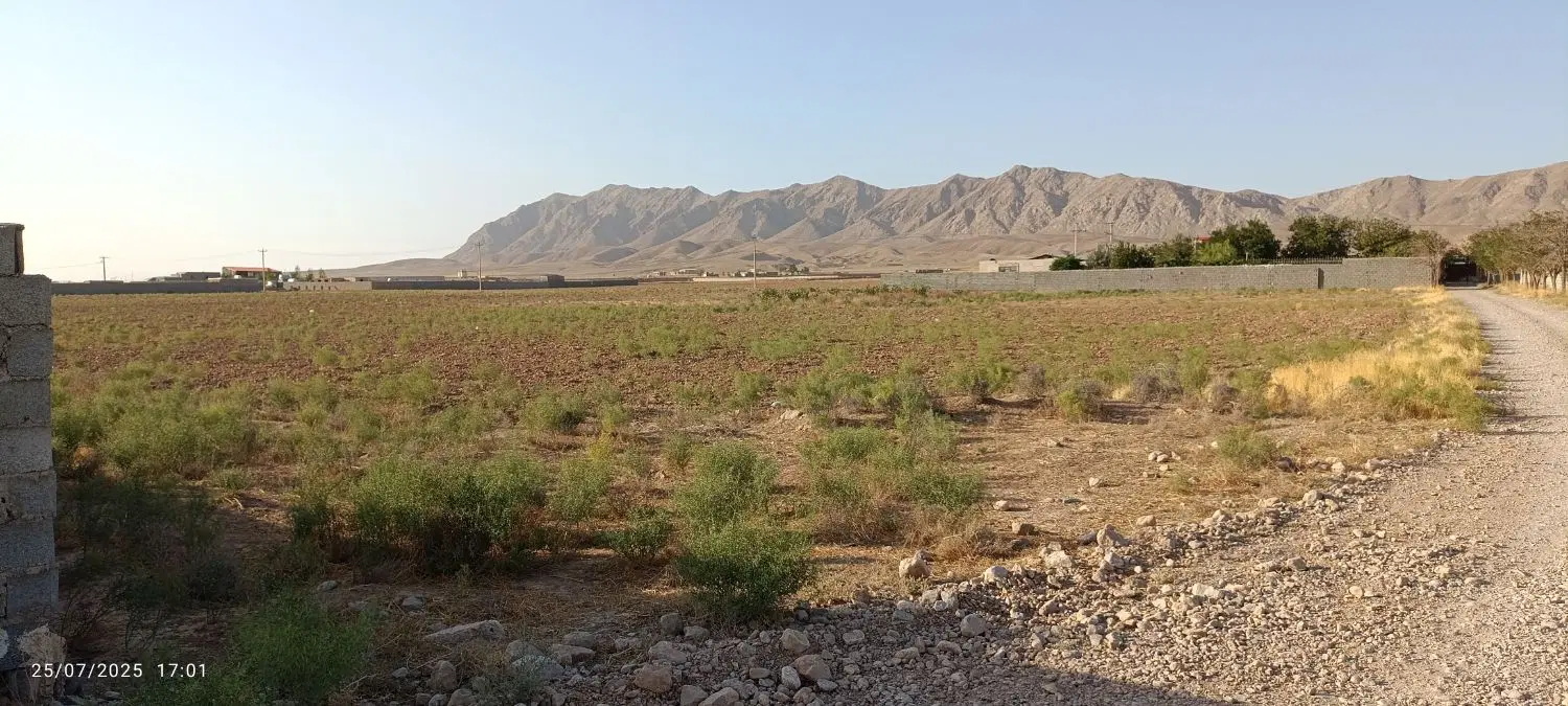 زمین باغی
