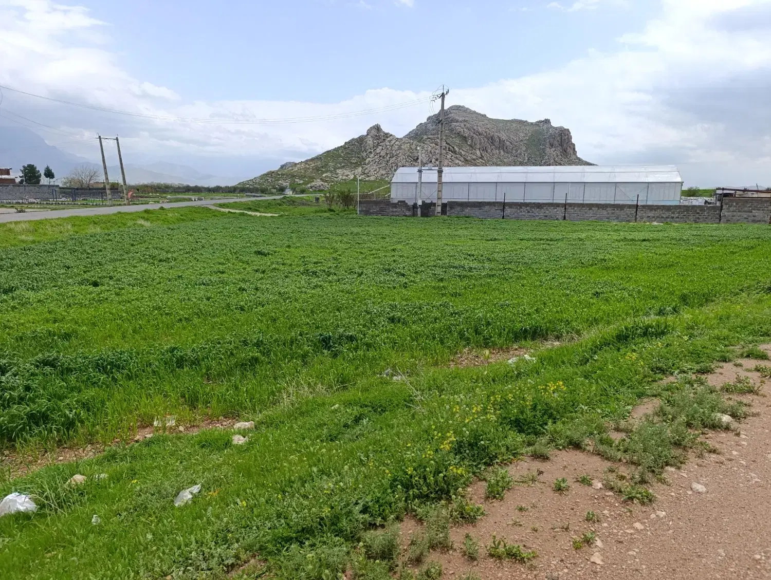 زمین فروشی