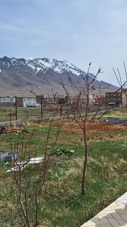 فروش زمین