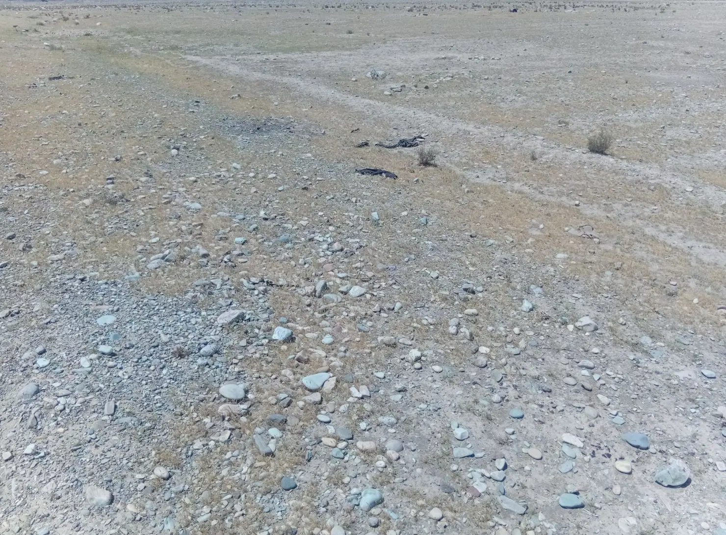 زمین آبی کشاورزی