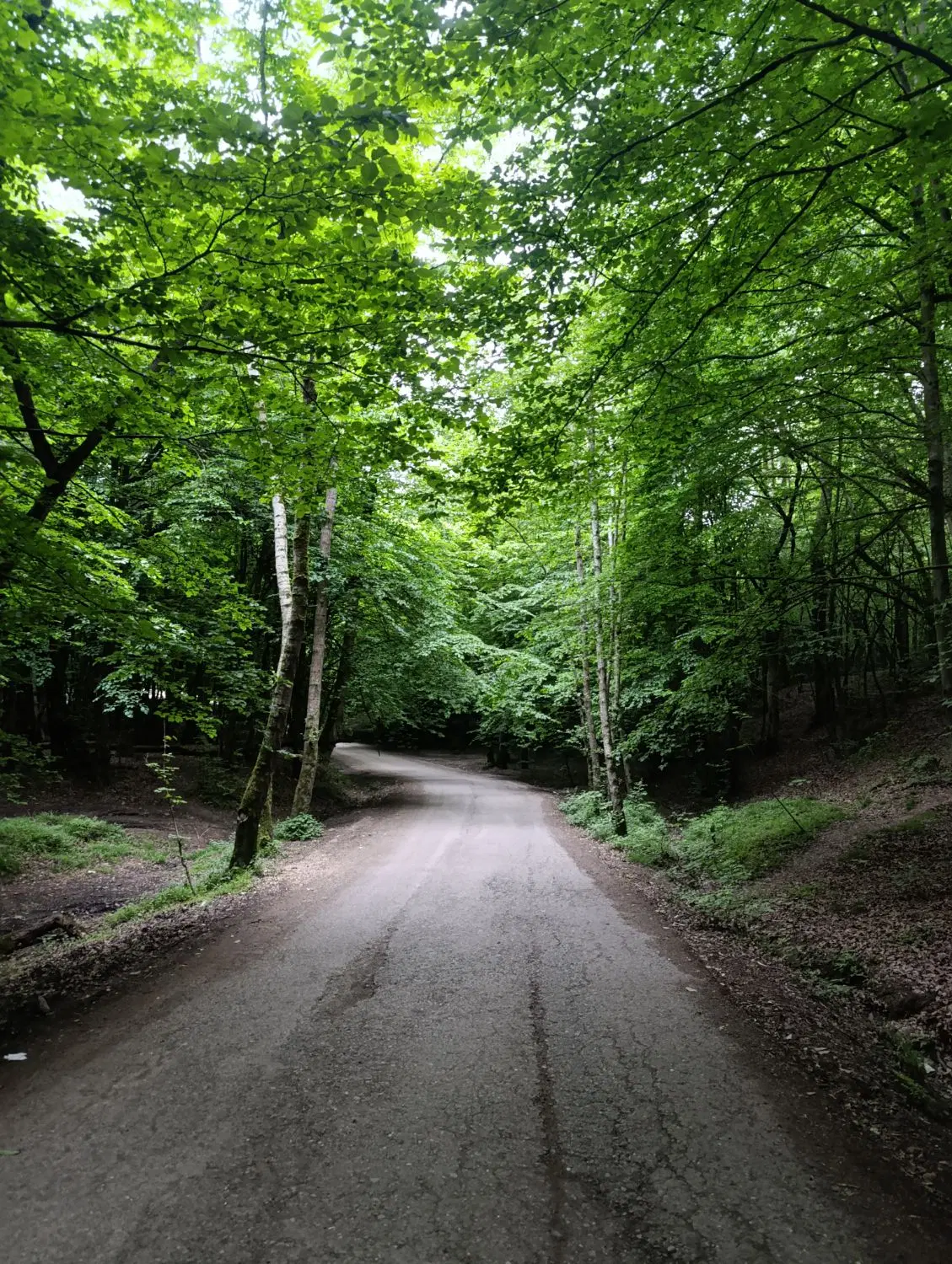 حیاط مسکونی جنوبی در آبرسان کوی مهرگان