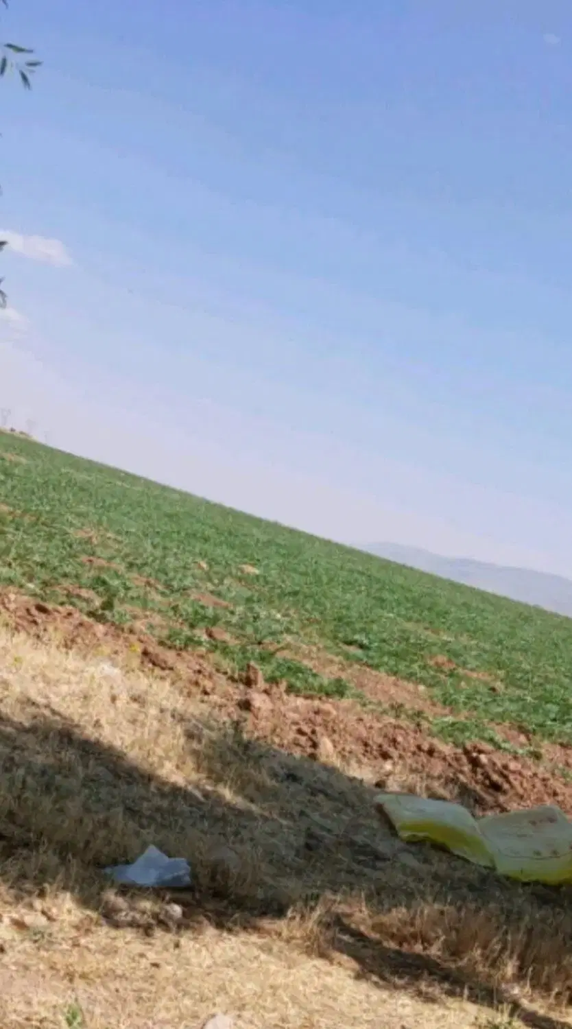 زمین زراعی گرمسار  تفکیکی