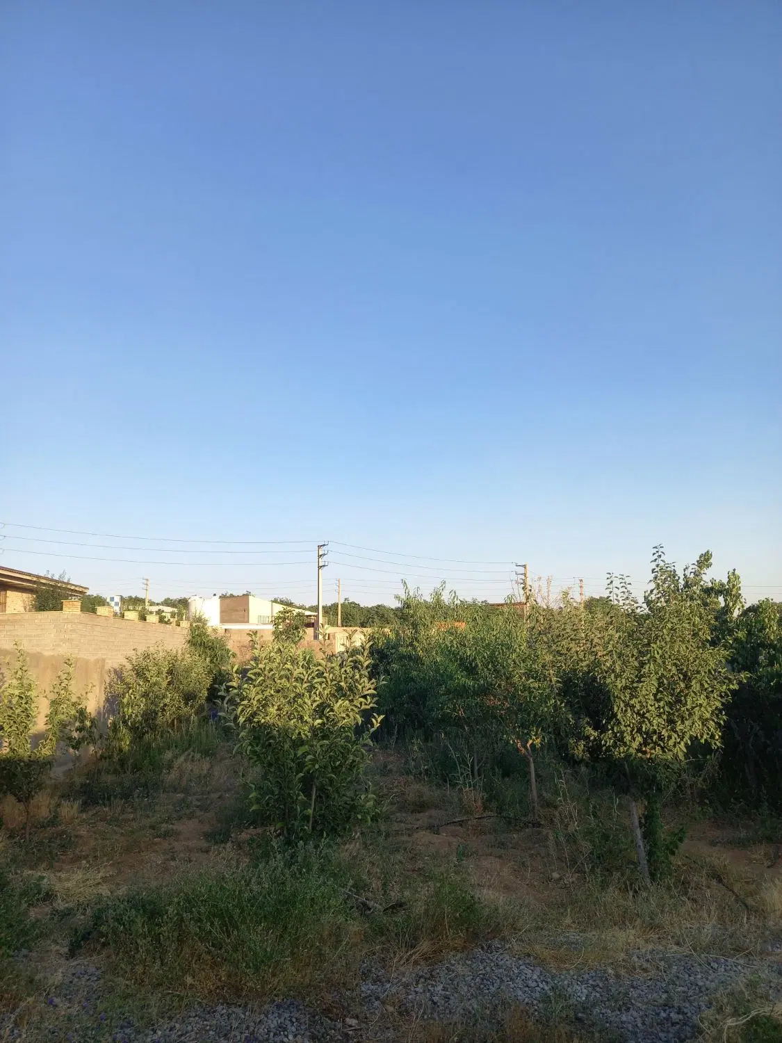 باغچه چنار شرق ۳۴۴ متر کوچه استخر