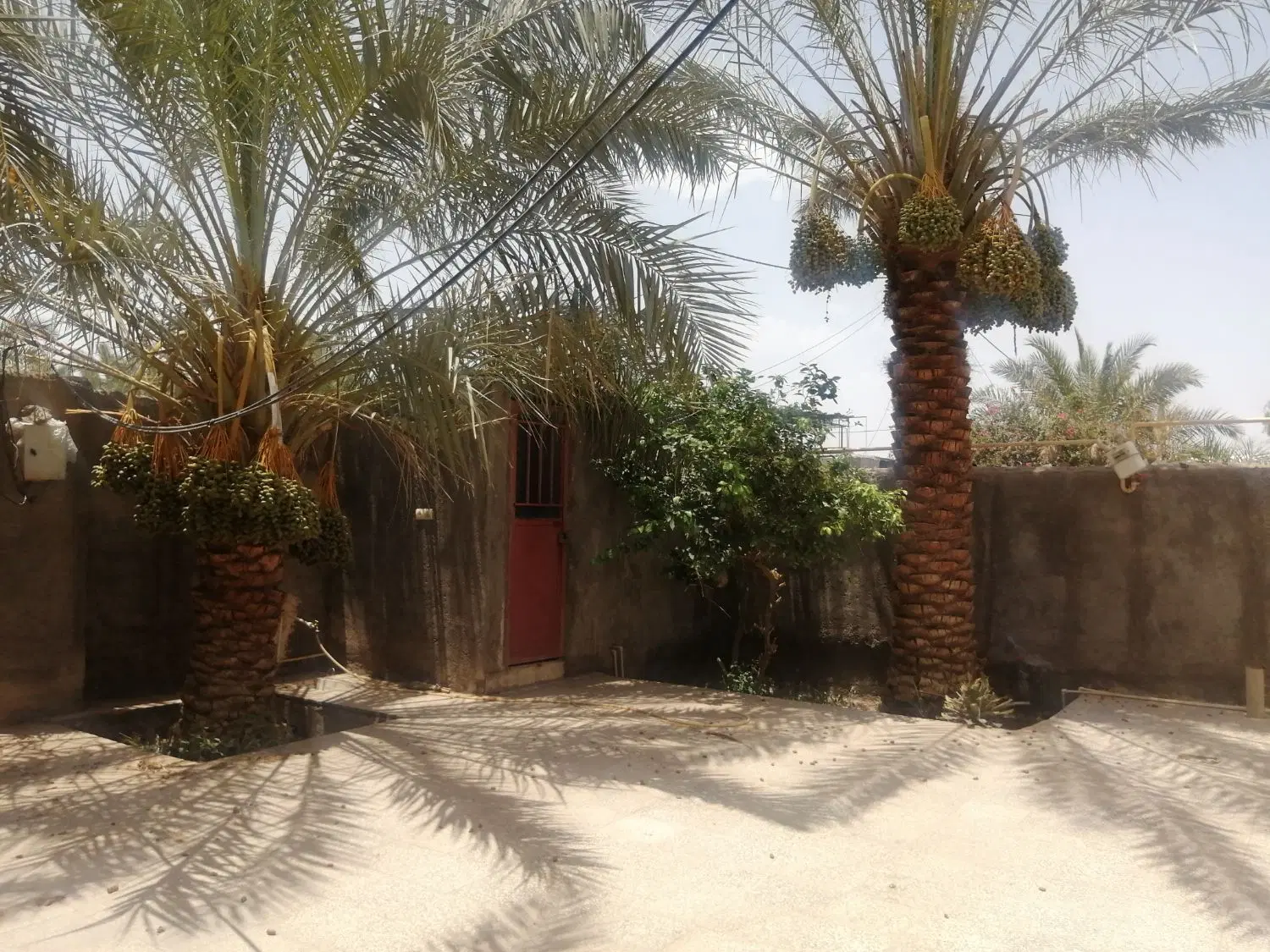فروش خانه