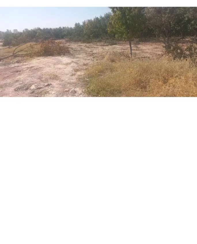 زمین مسکونی ۴۰۰ متر
