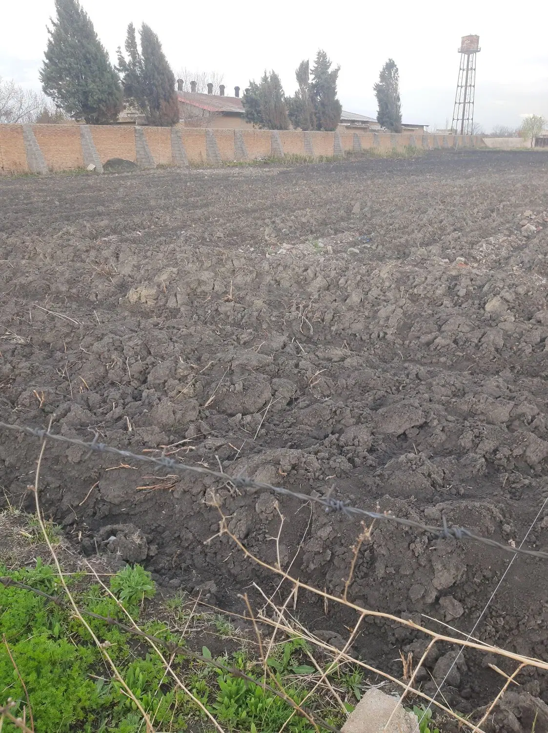 زمین زراعی برای ساخت ویلا