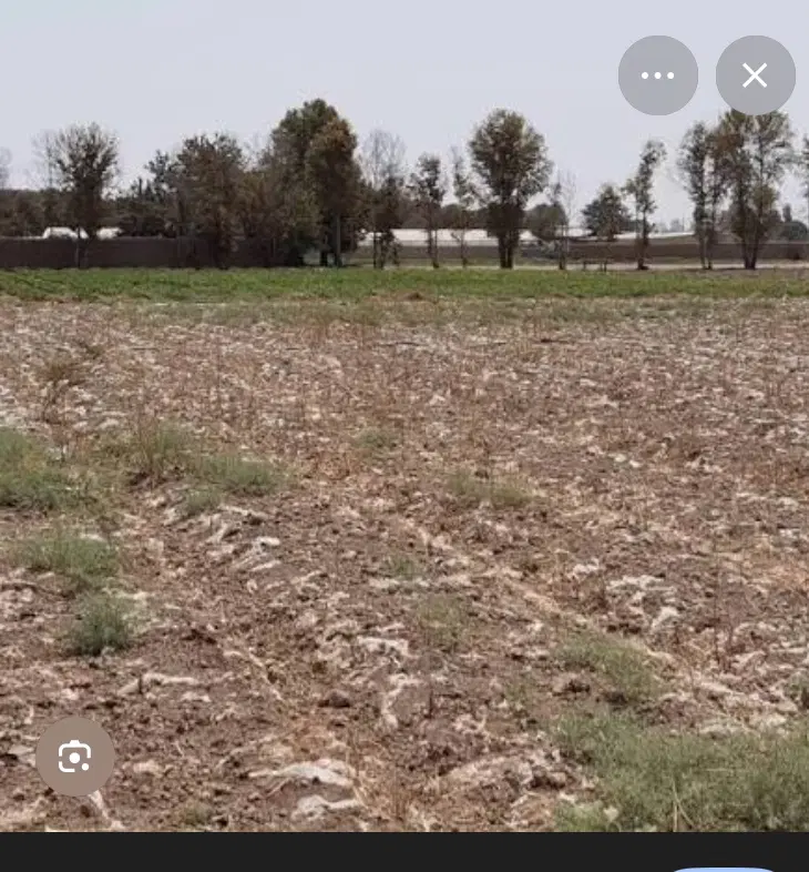 ۱۰ هکتار زمین با کاربری کشاورزی دامداری گلخانه