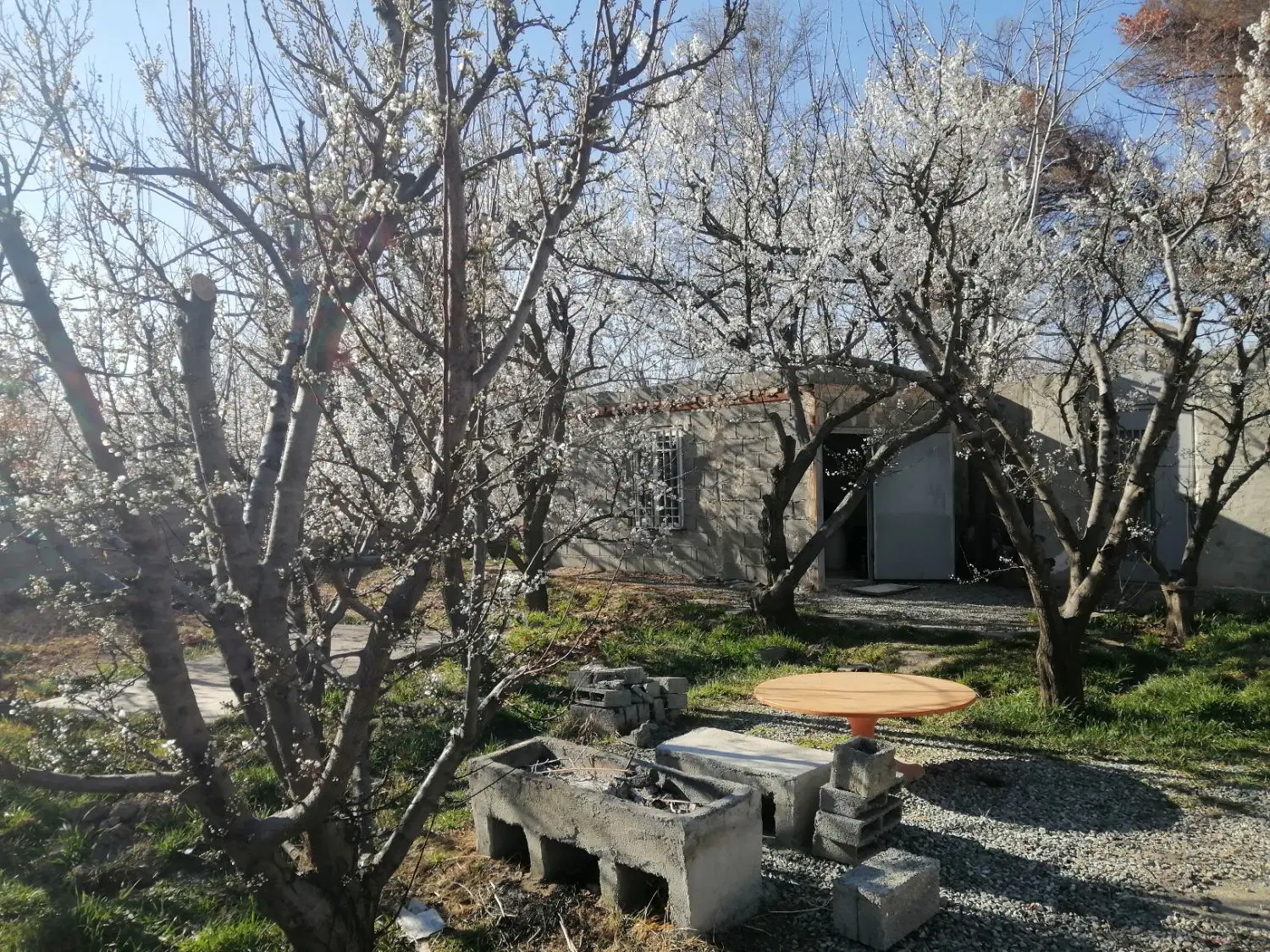 باغ سرسبز با سند تک‌برگ