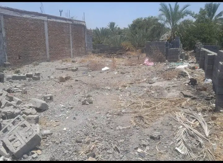 زمین