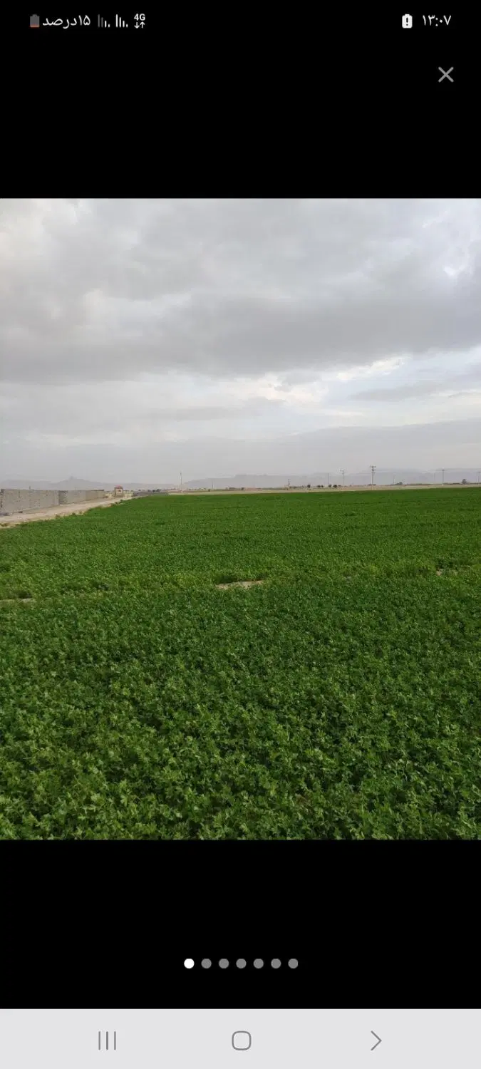 ۸جریب زمین کشاورزی