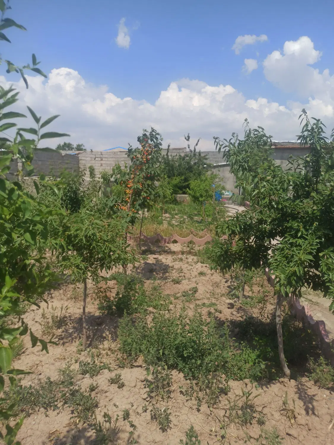 ویلا باغ در خانمیر