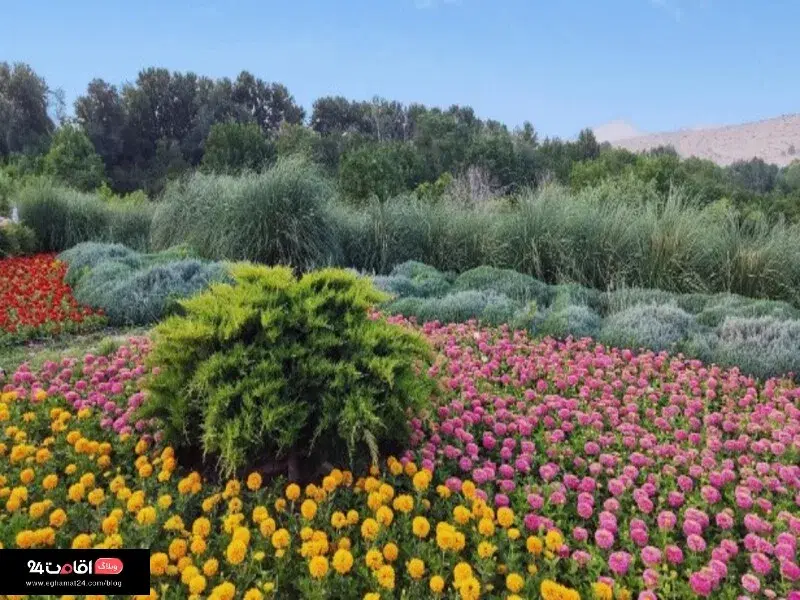 زمین دشتکوه موقعیت عالی