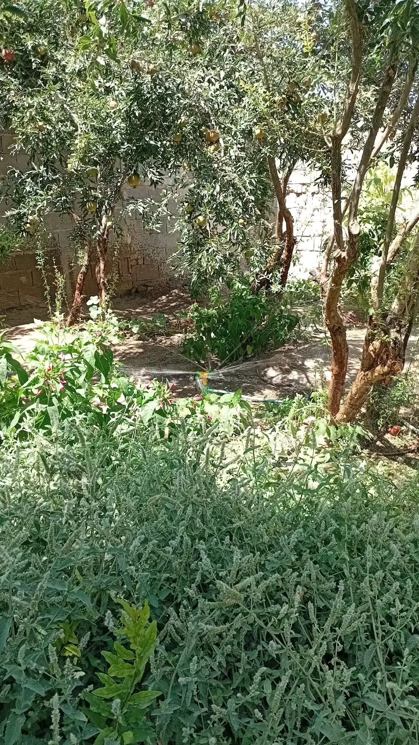 باغچه ۲۰۰ متری