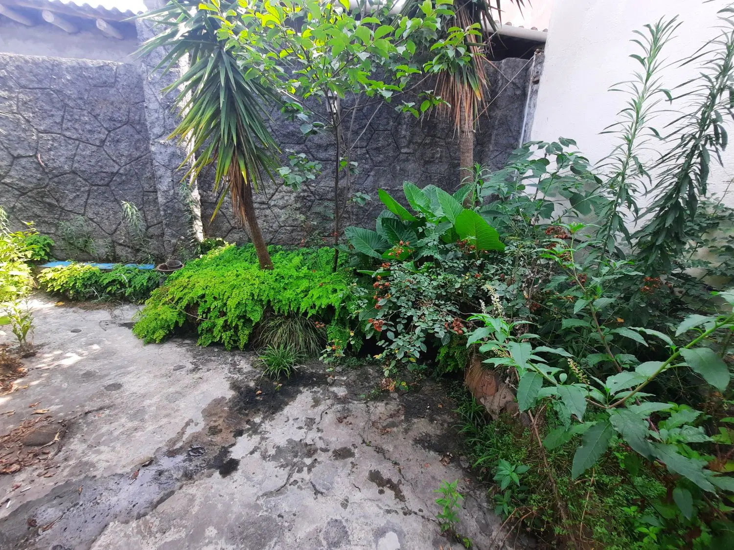 یک قطعه زمین 105متری