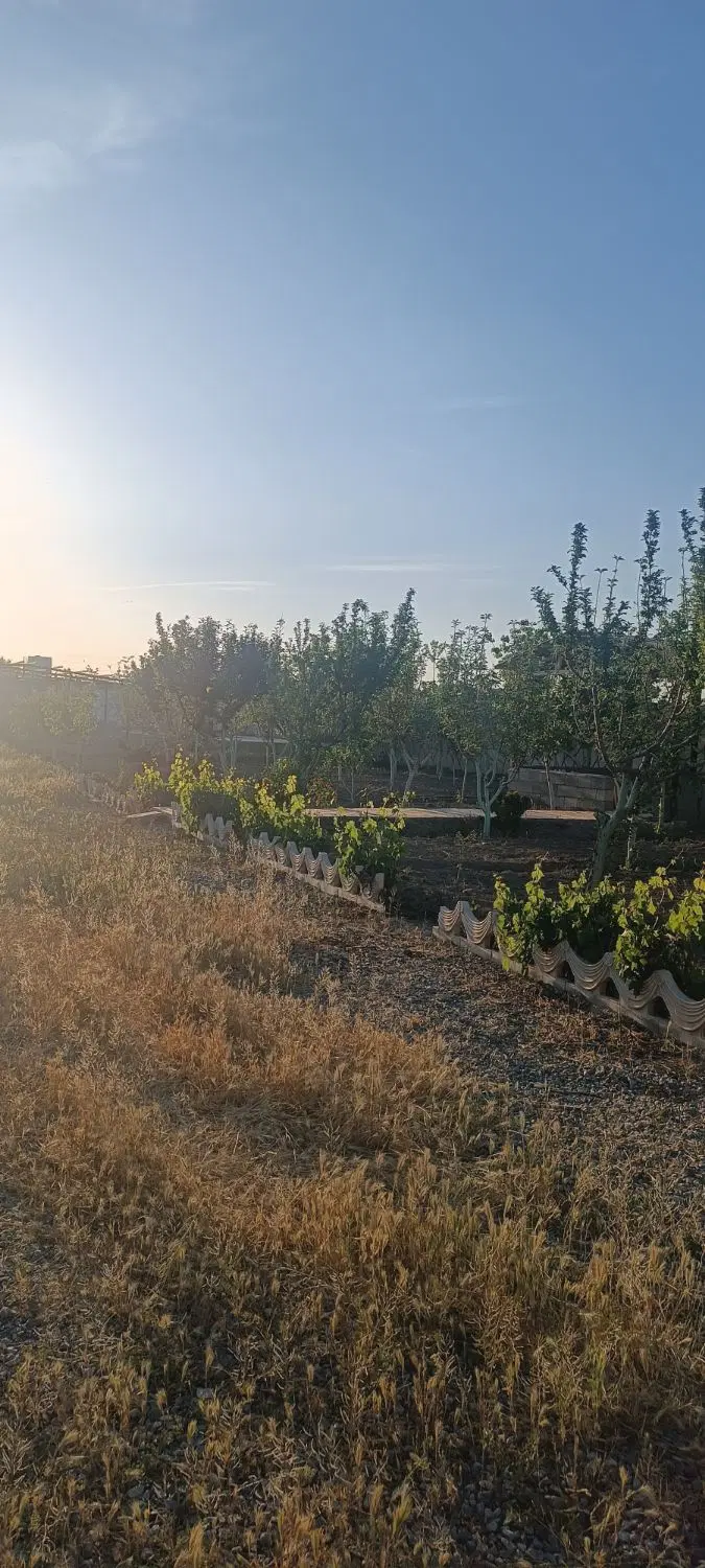 باغ‌چه