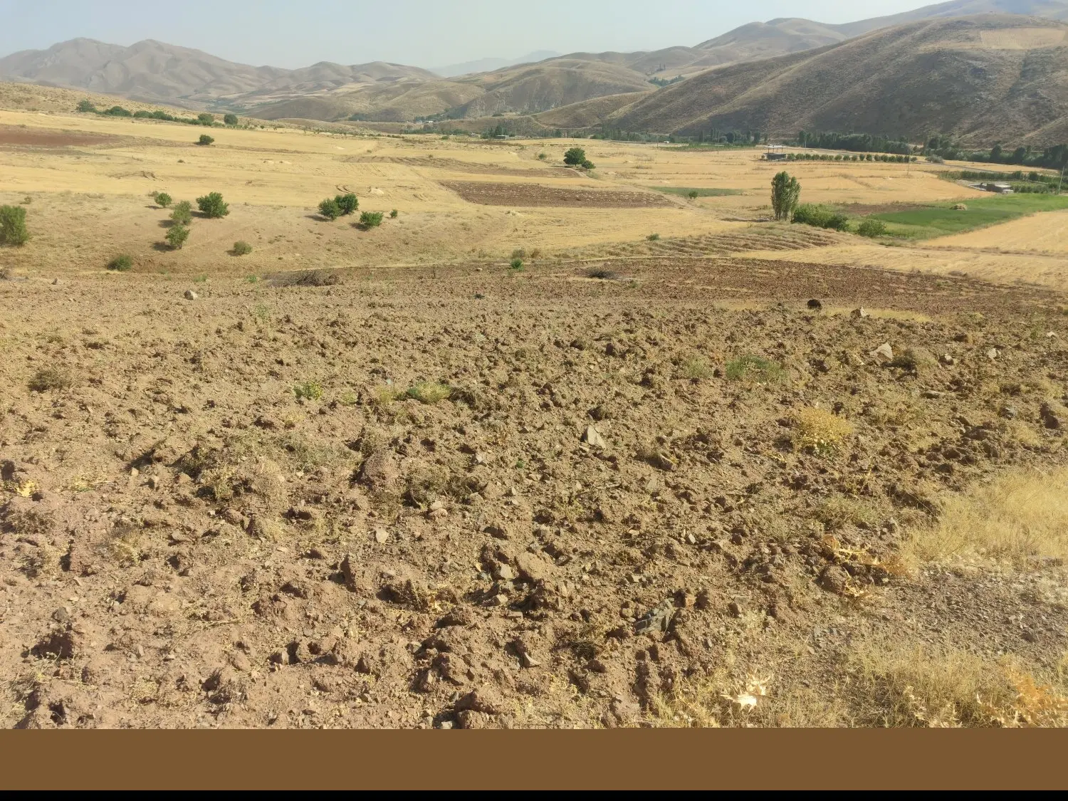 فروش زمین کشاورزی دیم