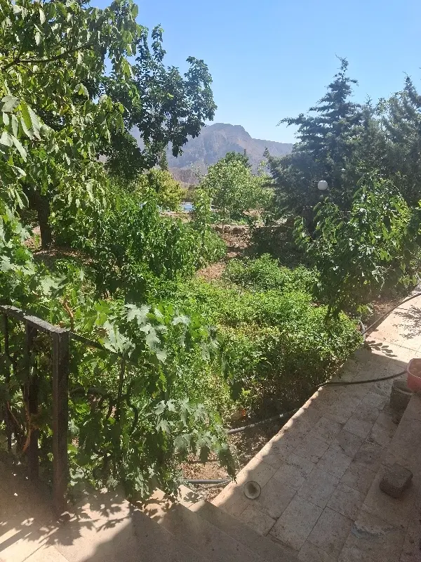 زمین از ۲۵۰ متر به بالا