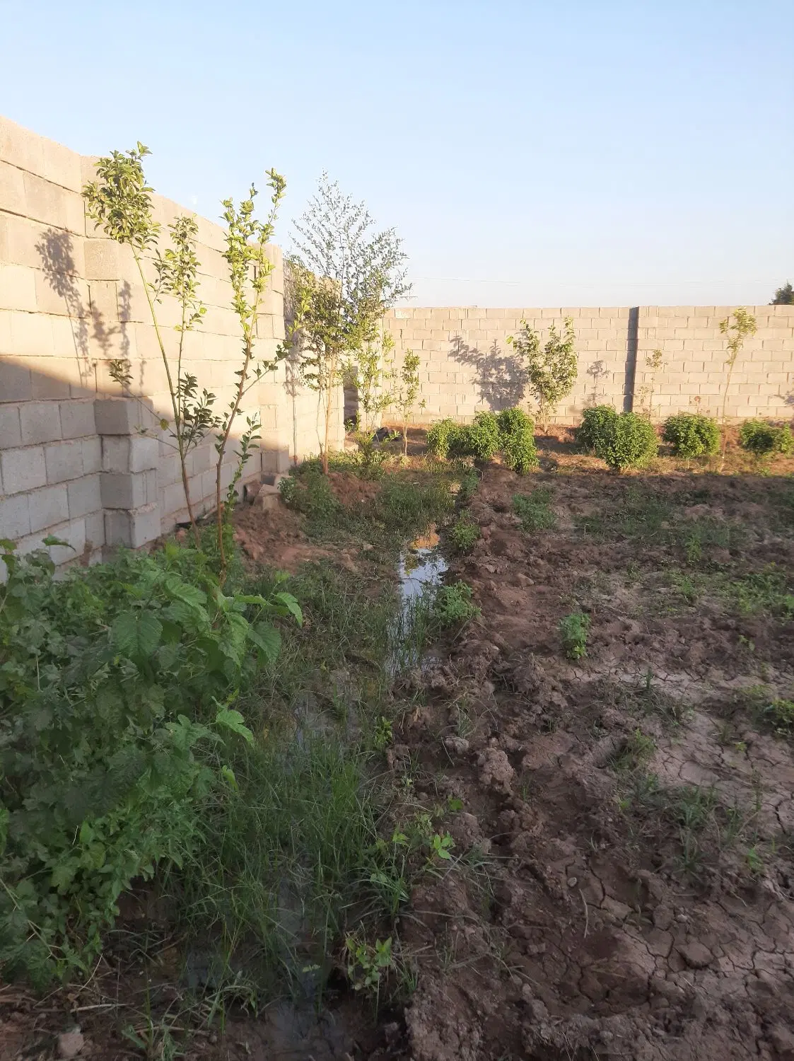 باغچه ۱۰۰۰ متری معاوضه با ماشین