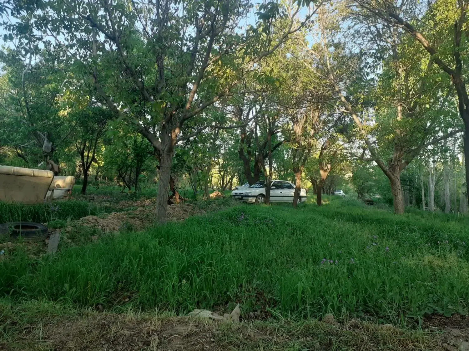 باغ