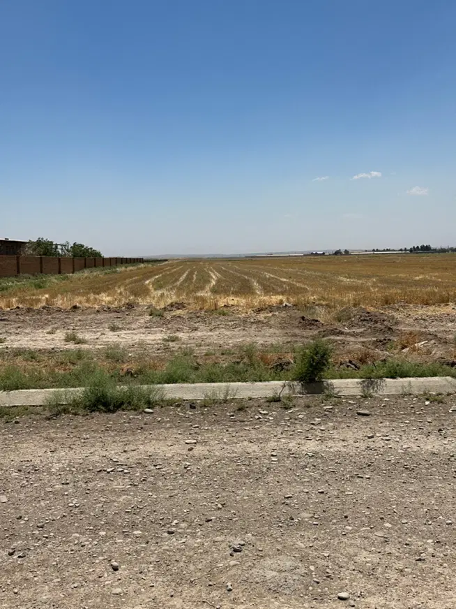 زمین کشاورزی گلخانه ای ۵۰ هزار متری بر آسفالت
