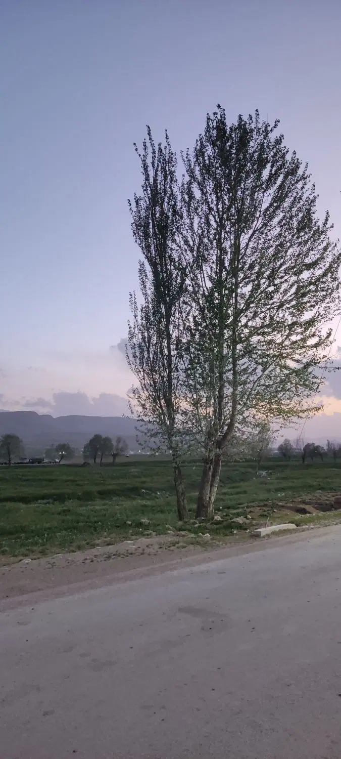زمین