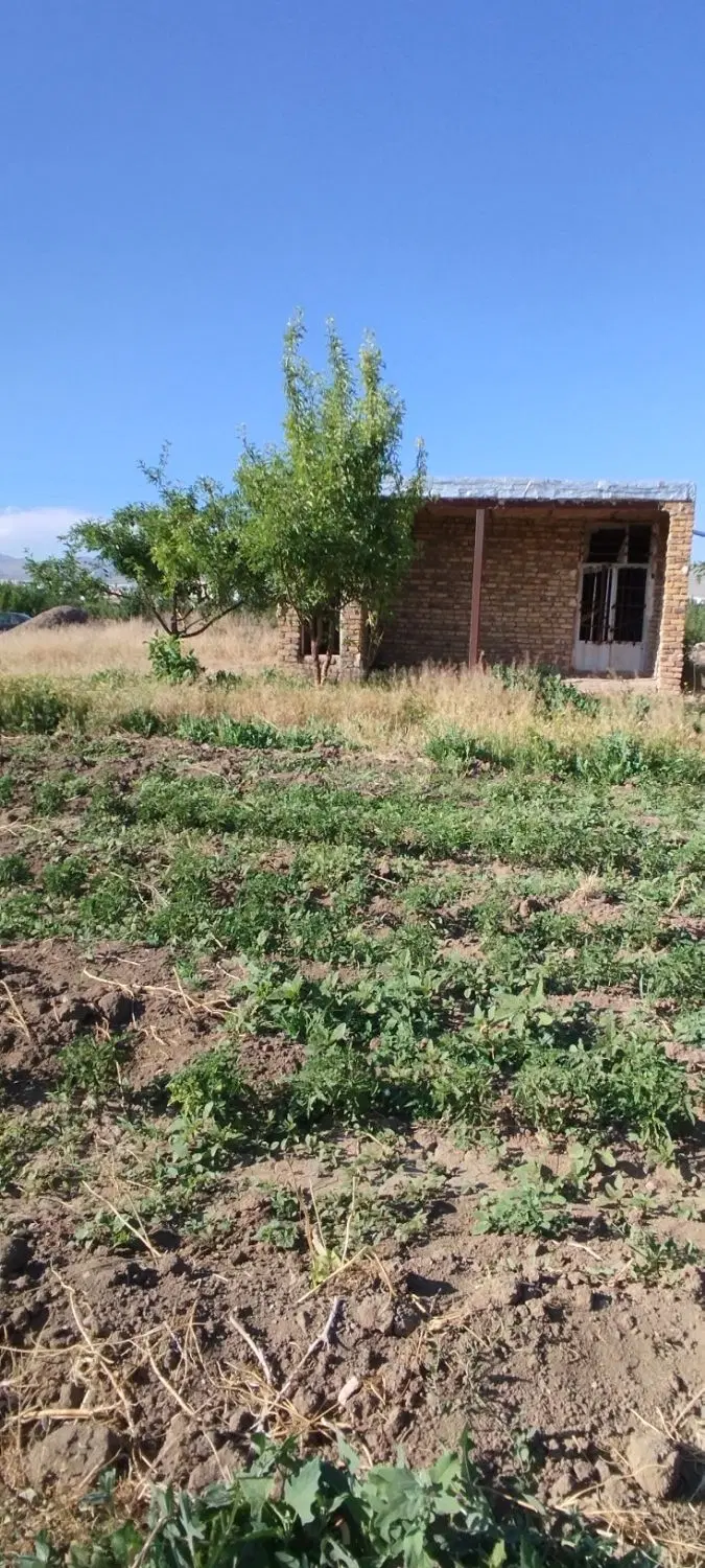 زمین کشاورزی در دیزج اباد