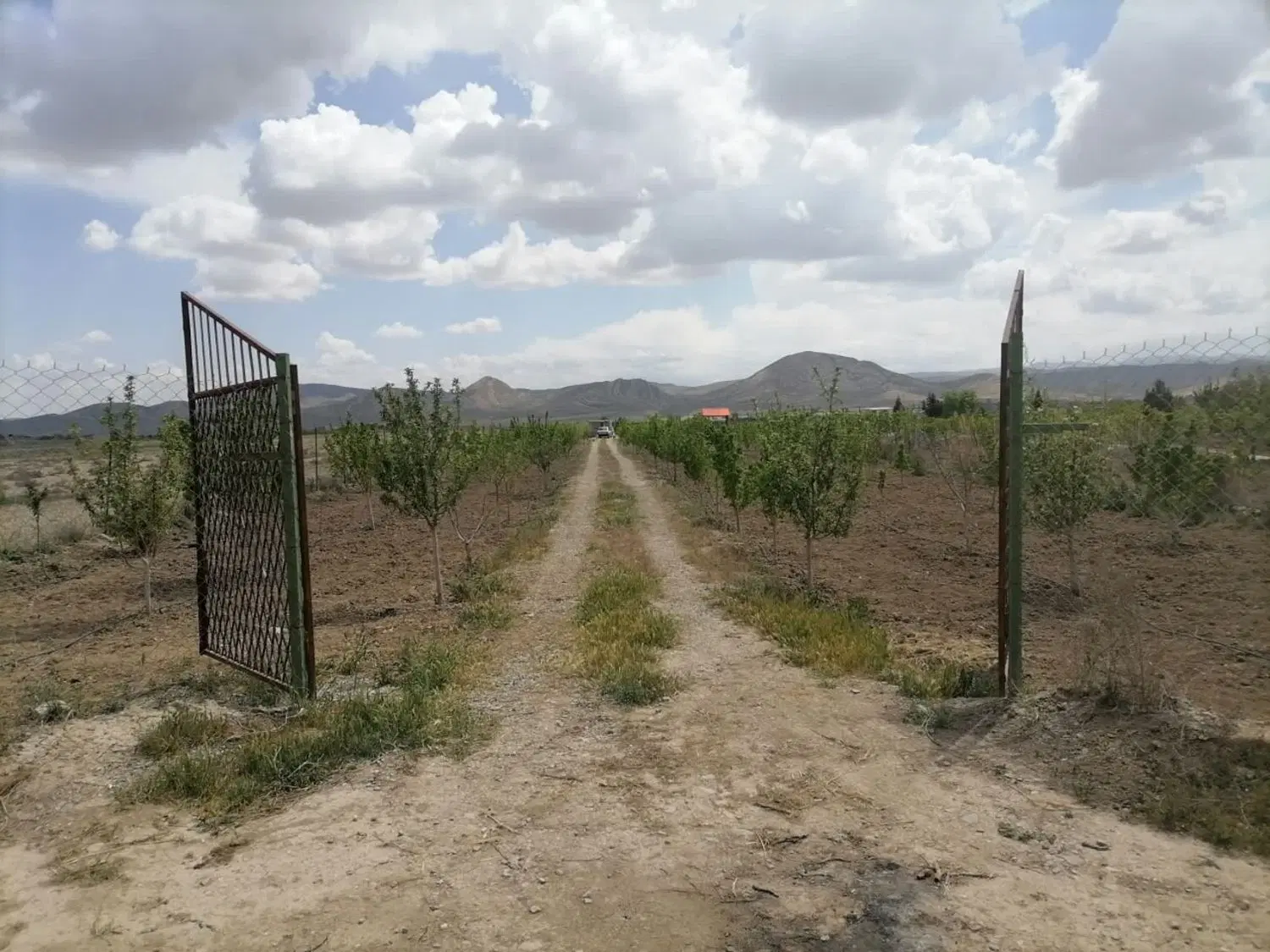 باغ و زمین کشاورزی در روستای حسین آباد
