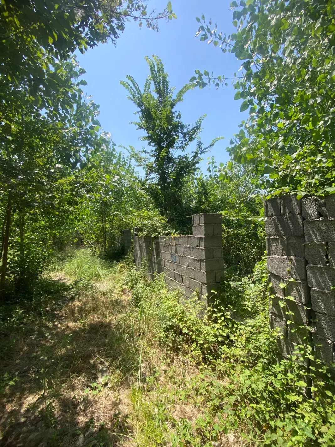 زمین مسکونی فخب نزدیک پروژه ژ۵