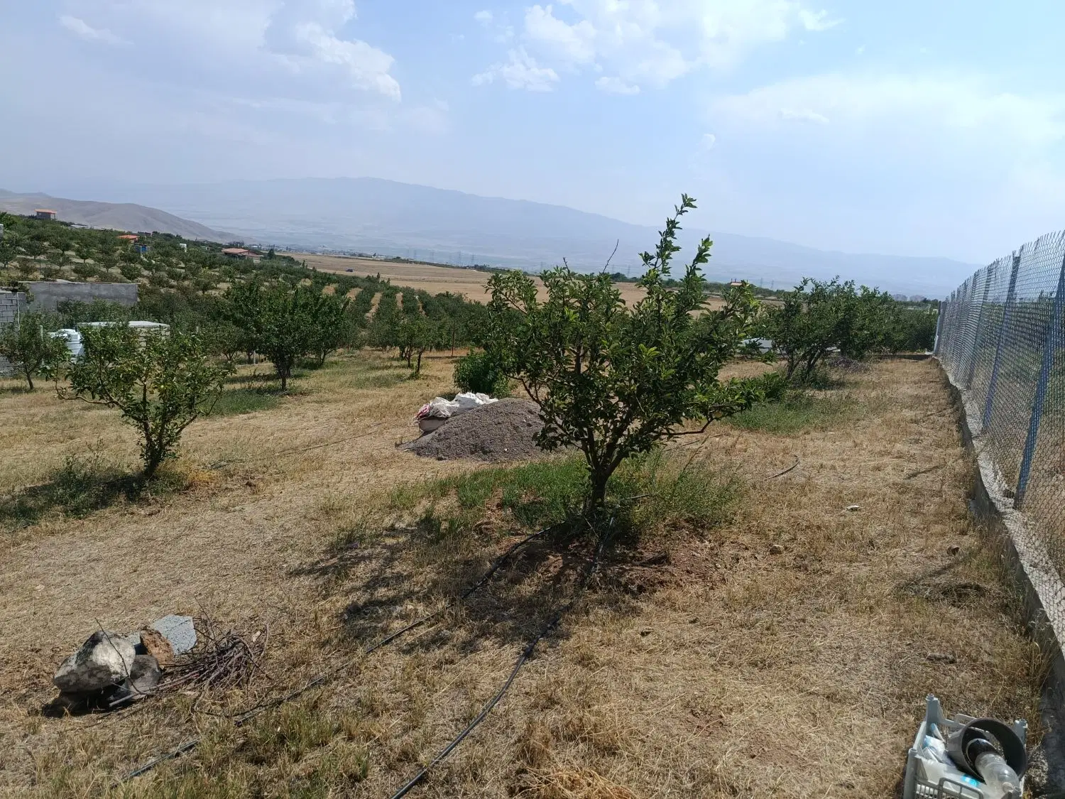 باغ پسته بیگ