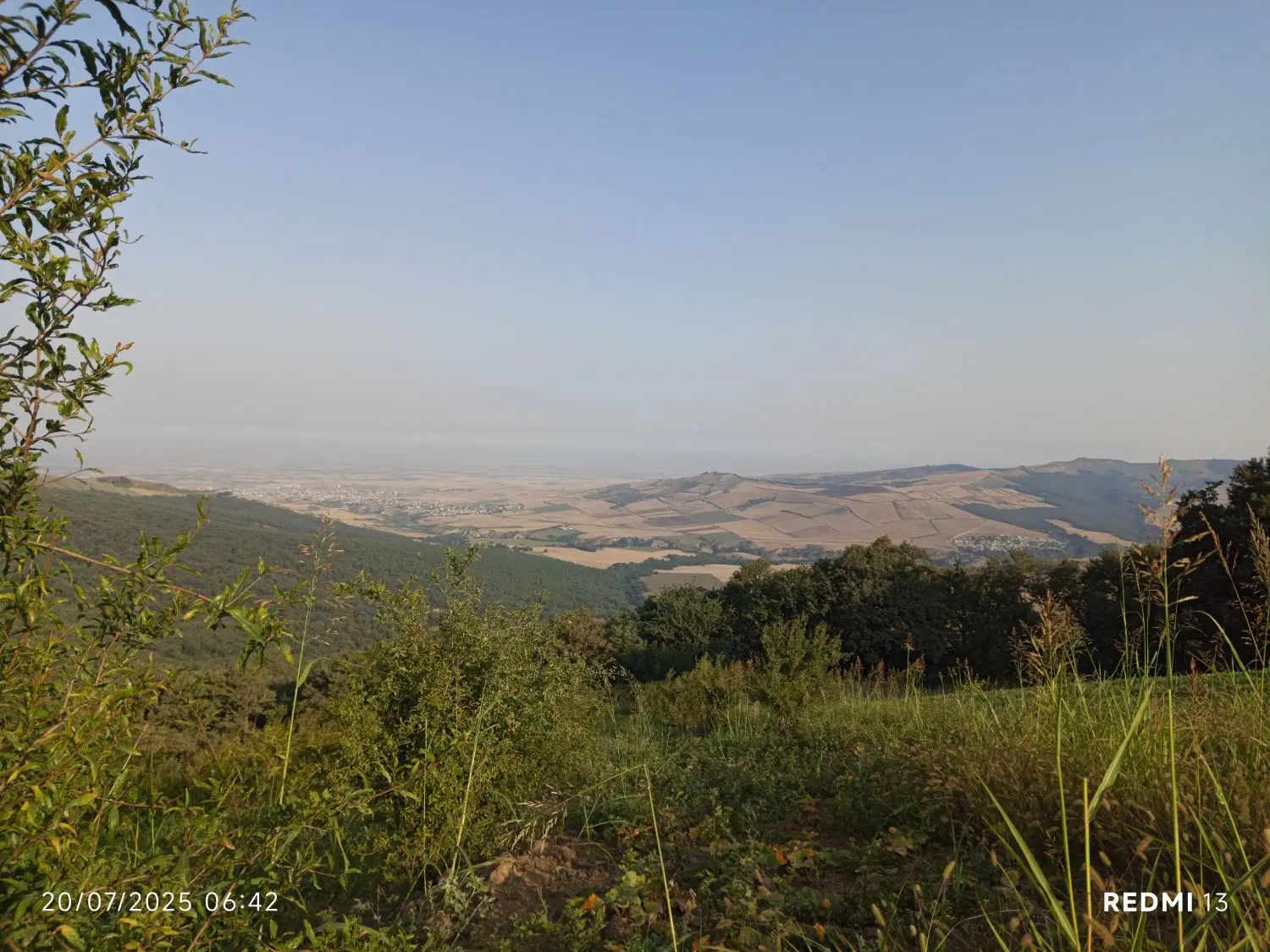 زمین کشاورزی