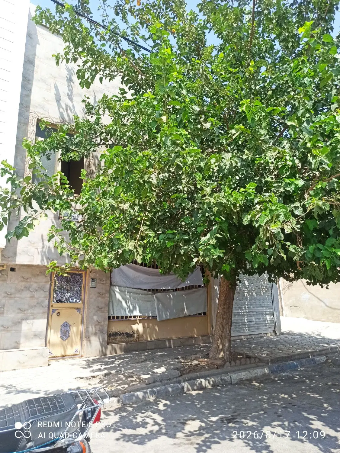 خانه و مغازه