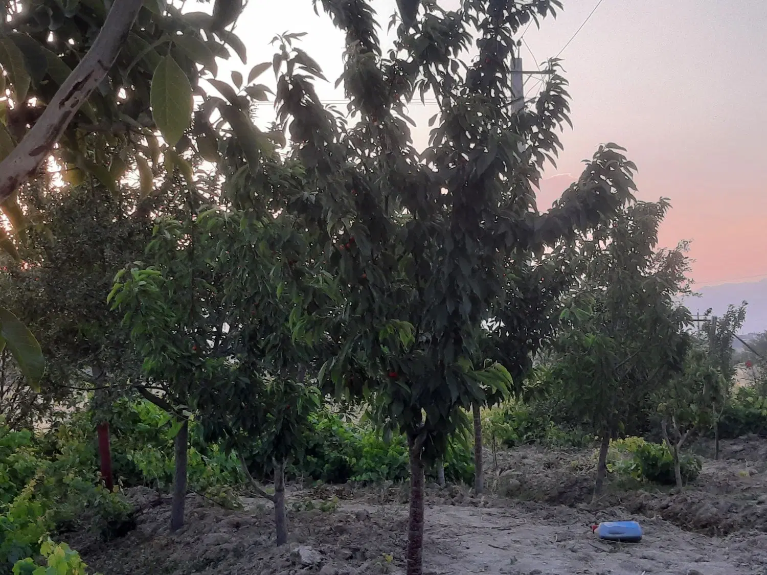 باغ بحر جاده اراک مرزیجران(ولی اباد)
