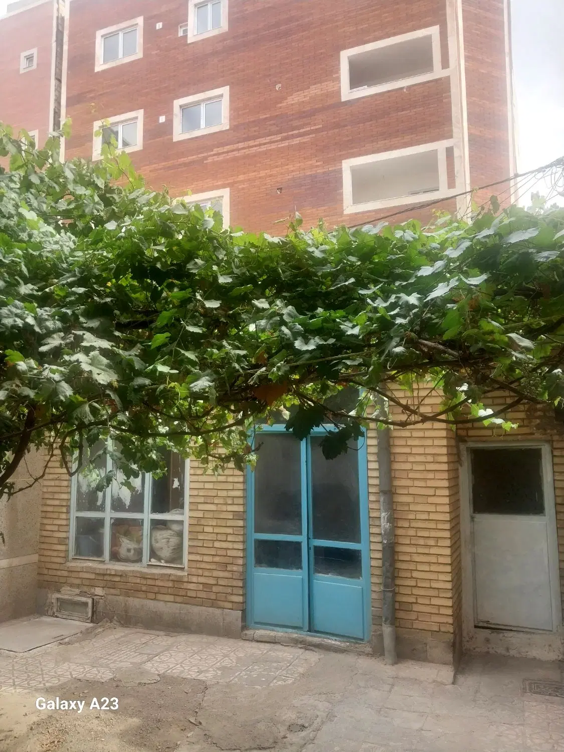 فروش حیاط