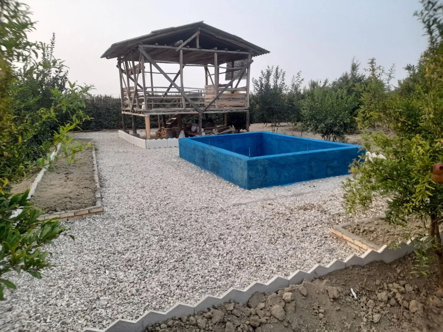 فروش باغ انار ۷ ساله