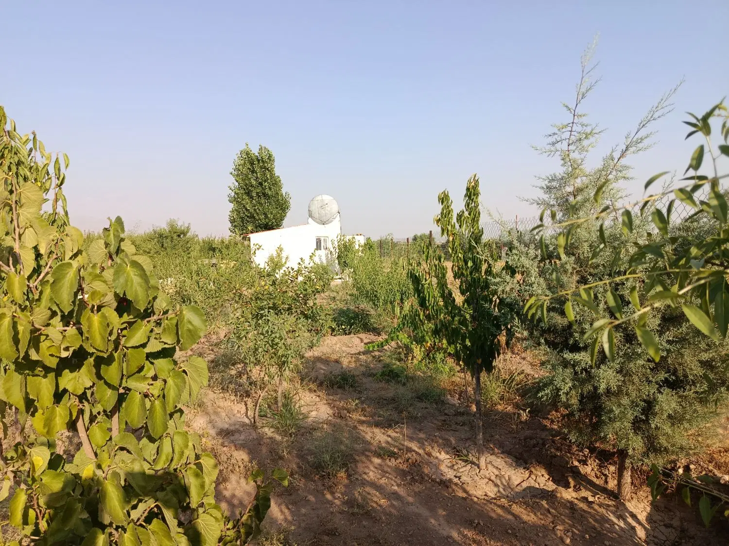 باغ نقلی در میانبر رشتقون