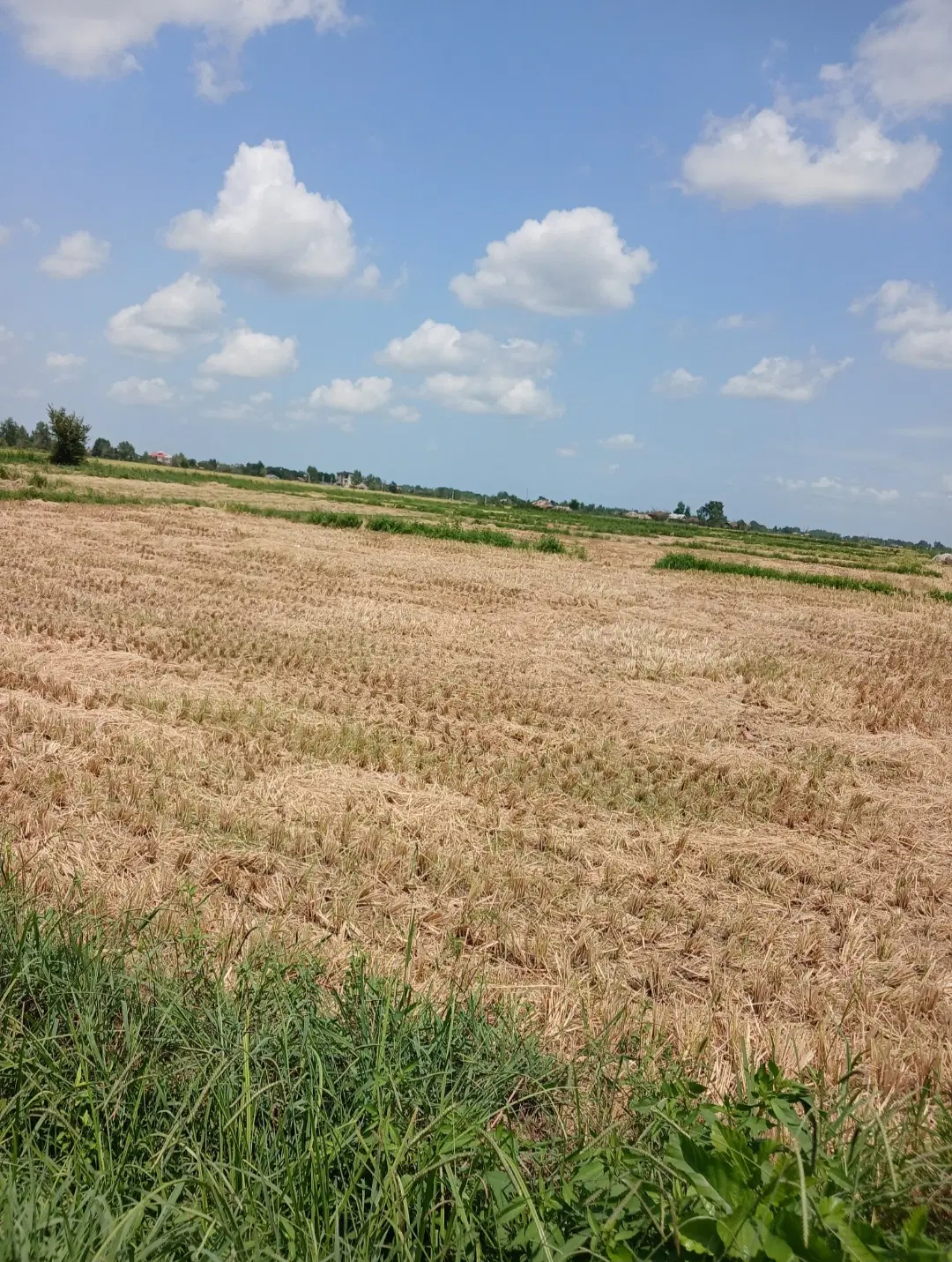فروش زمین