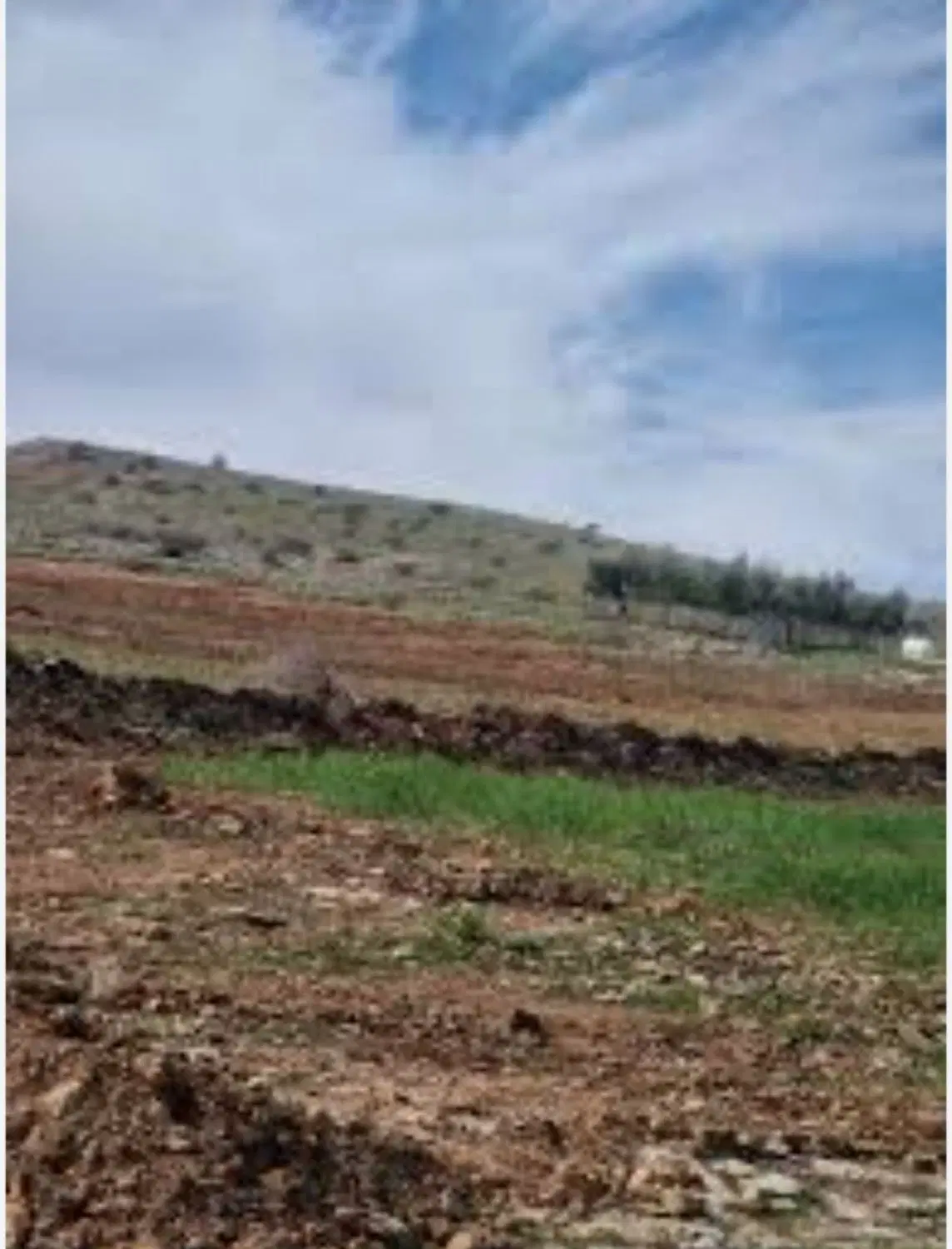 زمین روستای پامزار