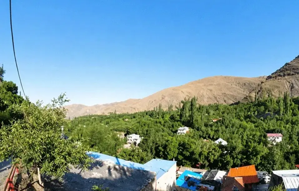 زمین زشک