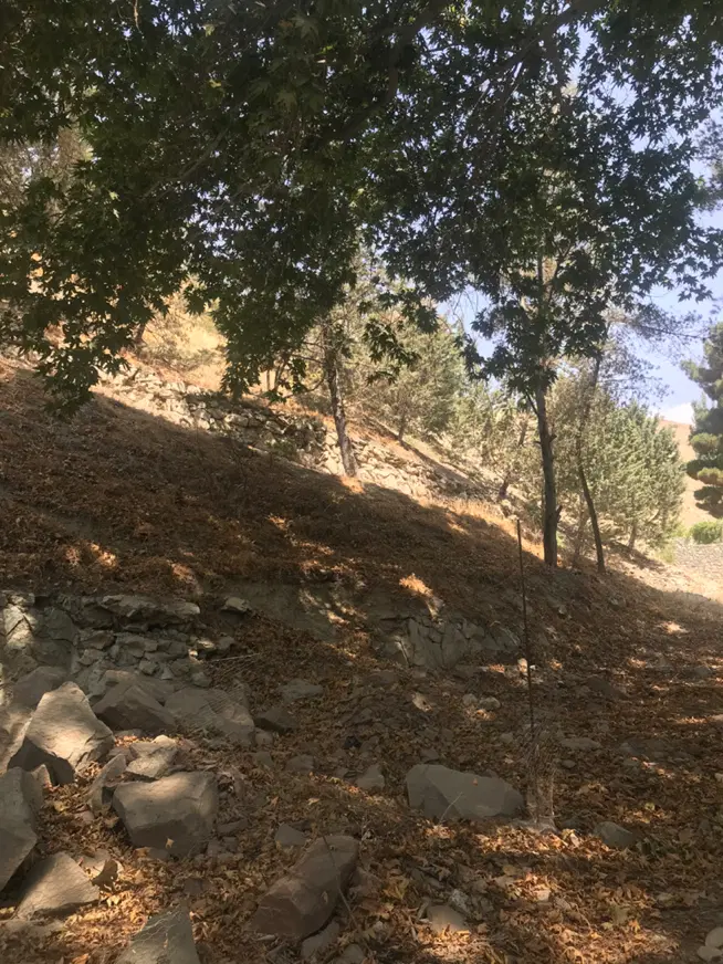 ۱۶۵۰ متر،لواسان کوچک