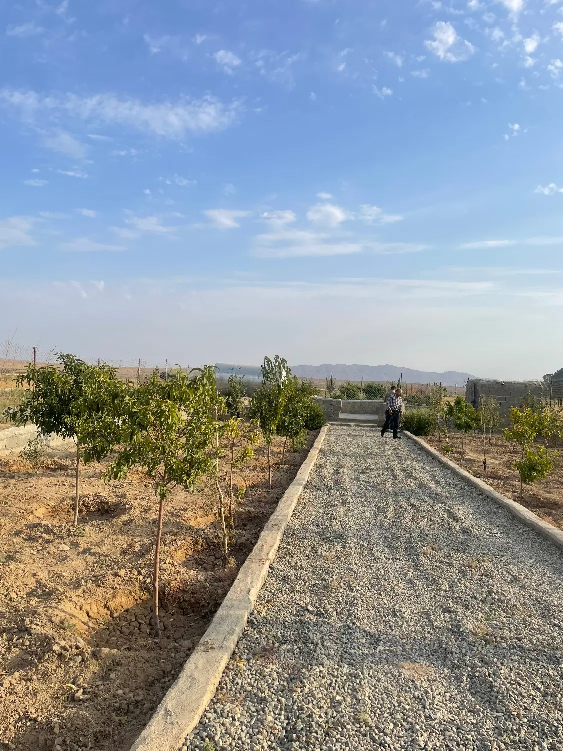 باغچه